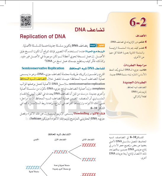 حل درس تضاعف DNA الأحياء 2 ثاني ثانوي ف3